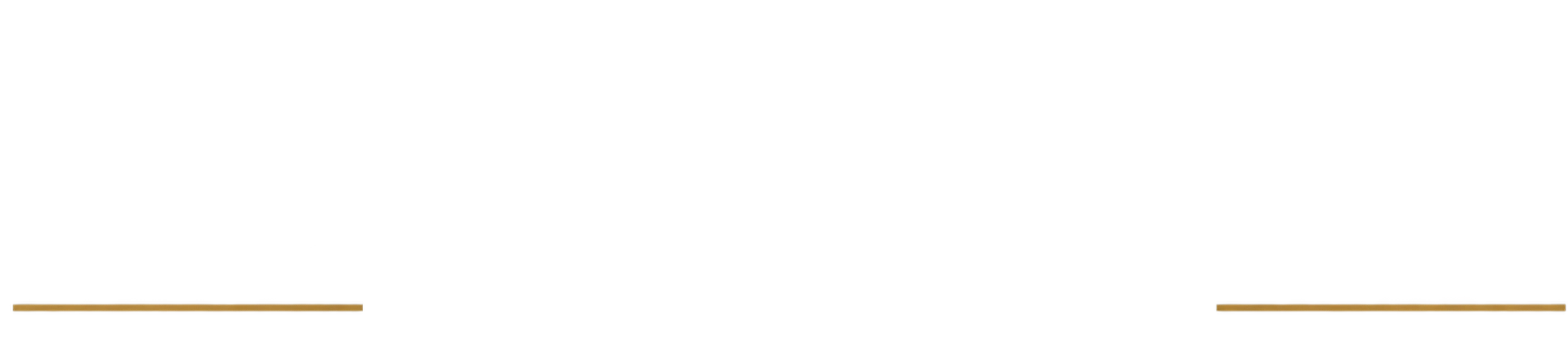 Bassano & Partners